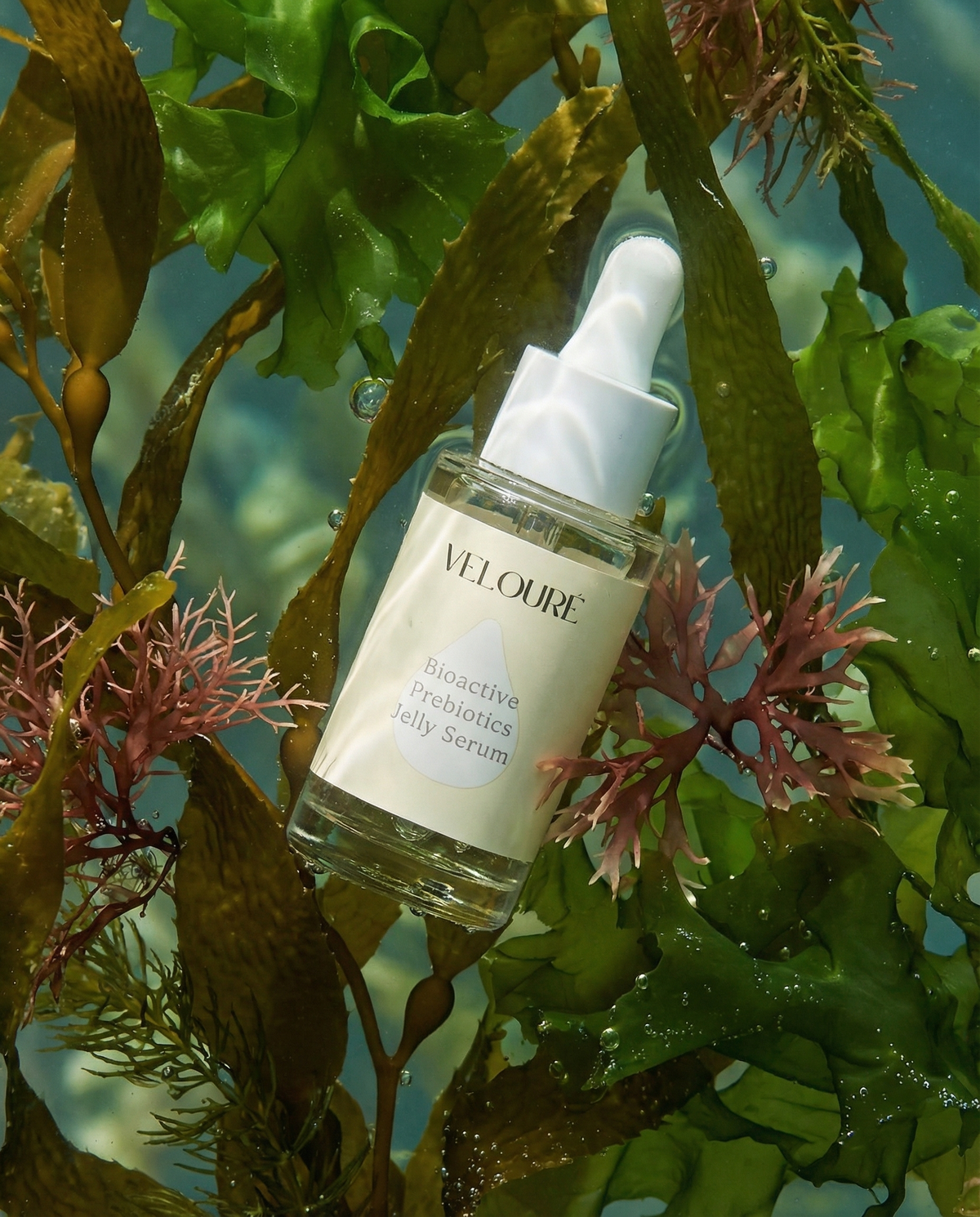 Bioactive Prebiotics Jelly Serum