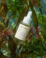 Bioactive Prebiotics Jelly Serum